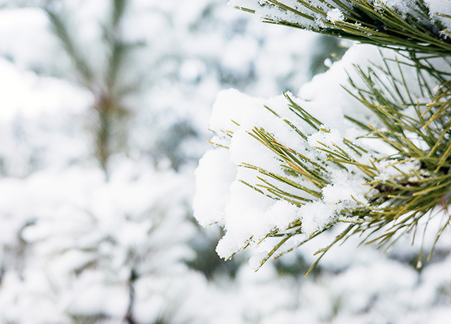冬天、下雪、寒冷-康興醫(yī)療器械官網(wǎng)